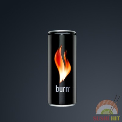 Burn 0.33л